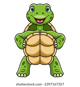 Cute turtle cartoon on white background