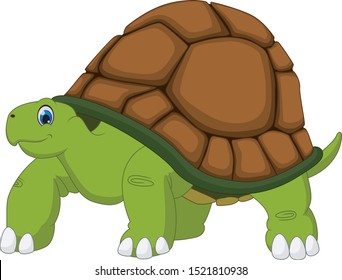 Cute turtle cartoon with white background