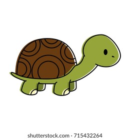 cute turtle character icon