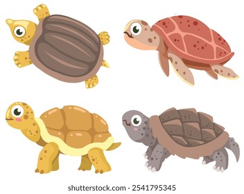 ilustração de personagem de tartaruga bonito. vetor animal