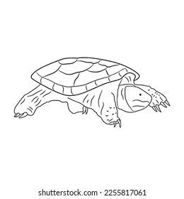 Cute turtle With coloring book pages picture,turtle line art,turtle outline drawing vector illustration,turtle vector art and line drawing