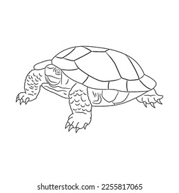 Cute turtle With coloring book pages picture,turtle line art,turtle outline drawing vector illustration,turtle vector art and line drawing