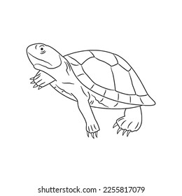 Cute turtle With coloring book pages picture,turtle line art,turtle outline drawing vector illustration,turtle vector art and line drawing