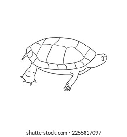 Cute turtle With coloring book pages picture,turtle line art,turtle outline drawing vector illustration,turtle vector art and line drawing