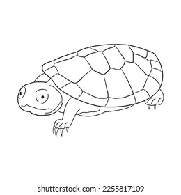 Cute turtle With coloring book pages picture,turtle line art,turtle outline drawing vector illustration,turtle vector art and line drawing