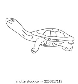 Cute turtle With coloring book pages picture,turtle line art,turtle outline drawing vector illustration,turtle vector art and line drawing