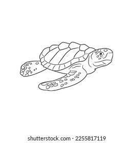 Cute turtle With coloring book pages picture,turtle line art,turtle outline drawing vector illustration,turtle vector art and line drawing