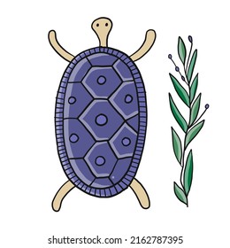 Cute Turtle design. Tortoise art print isolated on white