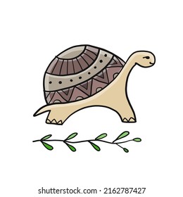 Cute Turtle design. Tortoise art print isolated on white