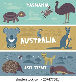 Cute Turtle Dingo Kangaroo Koala Echidna Cockatoo Parrot Emu Platypus, kids background Australian animals, Australia Tasmania Bass strait gray brown gold beige blue navy horizontal card banner. Vector