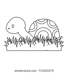 cute turtle in grass