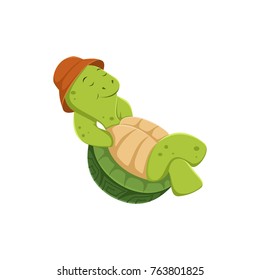 Cute turtle with a hat 
