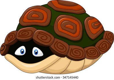 Cute turtle hides in its shell