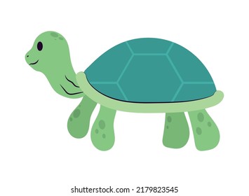 cute turtle icon on white background