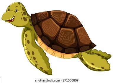 Cute turtle on white background