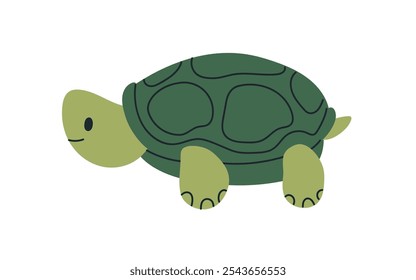 Tortuga linda con concha. Perfil de personaje de reptil feliz. Vista lateral de la tortuga. Animal lento sonriente. Fauna exótica tropical. Ilustración vectorial gráfica plana infantil infantil aislada sobre fondo blanco