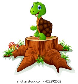 Cute turtle sit on tree stump