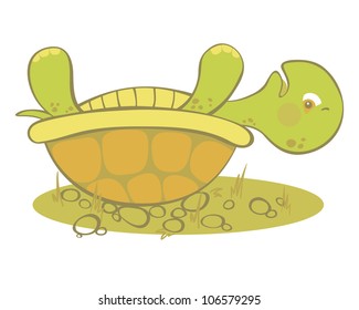 Cute turtle stuck on it's shell.