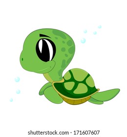 cute turtle swimming