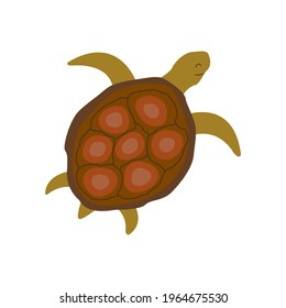 Cute turtle swims slowly. Colorful vector isolated hand drawn illustration. Sea turtle. Amphibian from the ocean