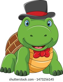 Cute turtle using hat with good posing