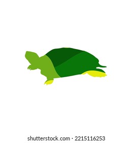 Cute Turtle Vector Design for Kids Wallpaper