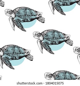 Cute turtle. Vector hand drawn pattern. Illustrations for design printing, textiles, posters, packaging, etc.