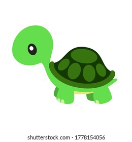 Cute Turtle Vector Illustration on White
