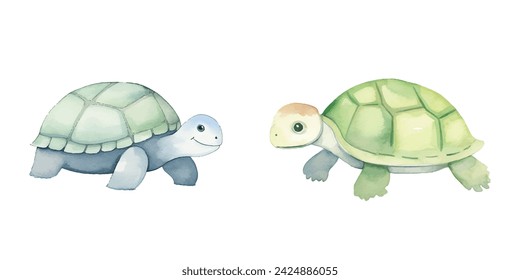 cute turtle watercolor vector illustration