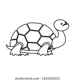 cute turtle wild character