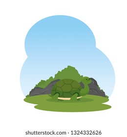 cute turtle wild in the landscape character