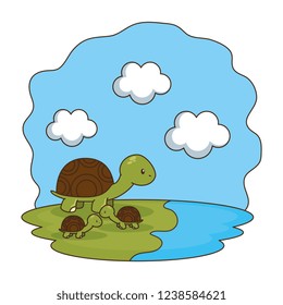 cute turtles family in the camp