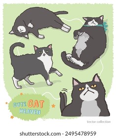 Cute tuxedo cat cartoon vector set. Isolated pet elements with funny poses. Black and white cats illustration.