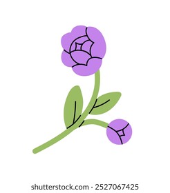 Cute twig of purple peony icon. Violet tender flower is symbol of love. Bloom plant with leaves. Blossoming buds on green stem of houseplant. Flat isolated vector illustration on white background