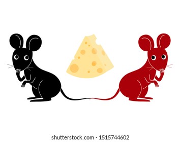 Cute Twin Mouse looking at cheese