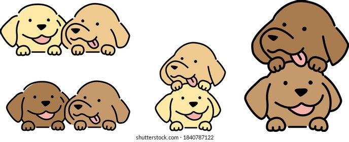 the cute two dogs simply