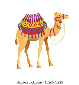 Cute two hump camel with bridle and saddle cartoon animal design flat vector illustration isolated on white background