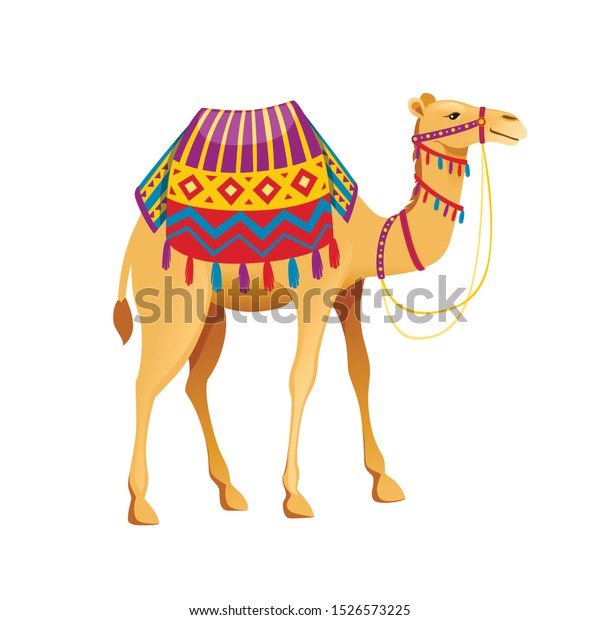 Cute Two Hump Camel Bridle Saddle Stock Vector (Royalty Free ...