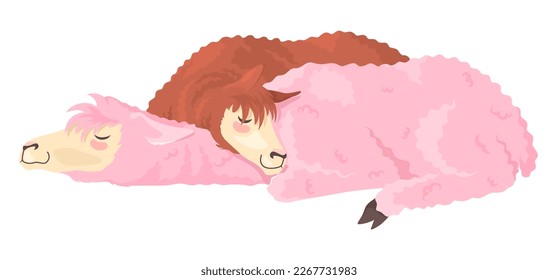 Cute two llamas alpacas sleeping flat vector icon. Funny Mexican fluffy farm animals napping together illustration isolated on white background