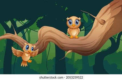 Cute two owls on the tree branch illustration