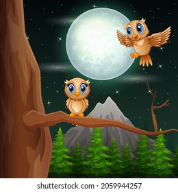 Cute two owls on tree branch at night illustration	