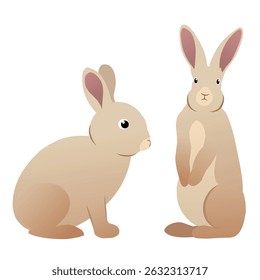 Cute two rabbit vector, perfect for kids designs or nature themes.