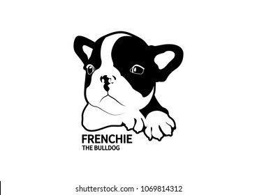 Cute Two-Tone French Bulldog Puppy in Black and White. You can make a cute invitation card or cute design artwork any you want with Frenchie Style.