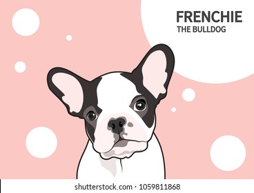 Cute Two-Tone Frenchie. His posture style is suitable for text messaging on his daydream balloon. You can make a cute invitation card or cute envelope any you want with Frenchie Style.