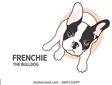 Cute Two-Tone Frenchie sits and just looks at you. You can make a cute invitation card or cute design artwork any you want with Frenchie Style.