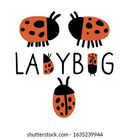 Cute typography ladybug banner with ladybirds doodle clipart. Hand drawn red spotted insect. Flat color naive entomology beetle illustration. Isolated eco, wording, dot. Vector EPS 10. 