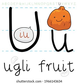 Fruto de ugli o tangelo jamaiquino, listo para la lección de gramática del alfabeto y la pronunciación de la letra 'U'.