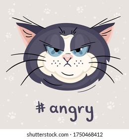 Cute ugly gray cat with 
evil look on a pastel colors background with dots and paws. Cartoon character in vector illustration. Inscription Angry handwritten