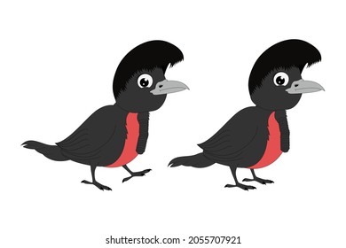 cute umbrella bird cartoon illustration