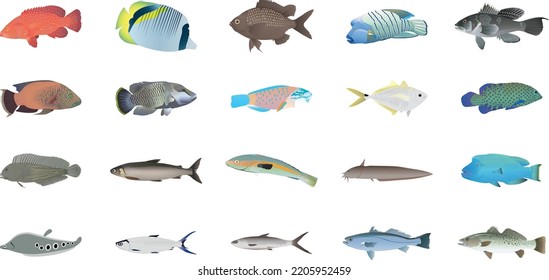 Cute Underwater Animals On Black Background, A Commercial Fish Set. Fresh Raw Edible Cartoon Fish Collection. Tuna, Salmon, Trout, Seabass, Mackerel, Herring, Codfish, Anchovy, And Merles.